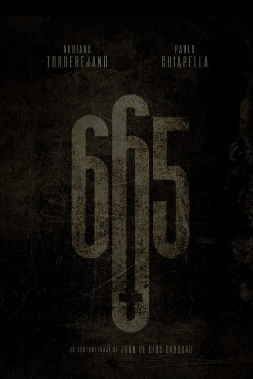 Movie poster for 665 (2022)