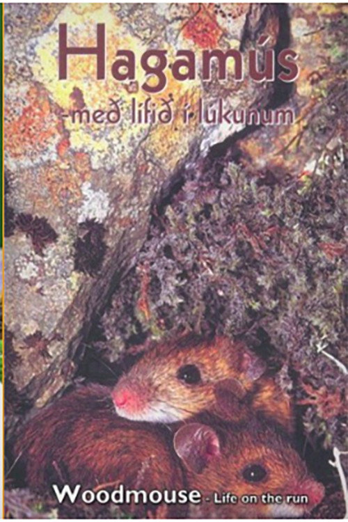 Movie poster for Hagamús - Með lífið í lúkunum (1997)