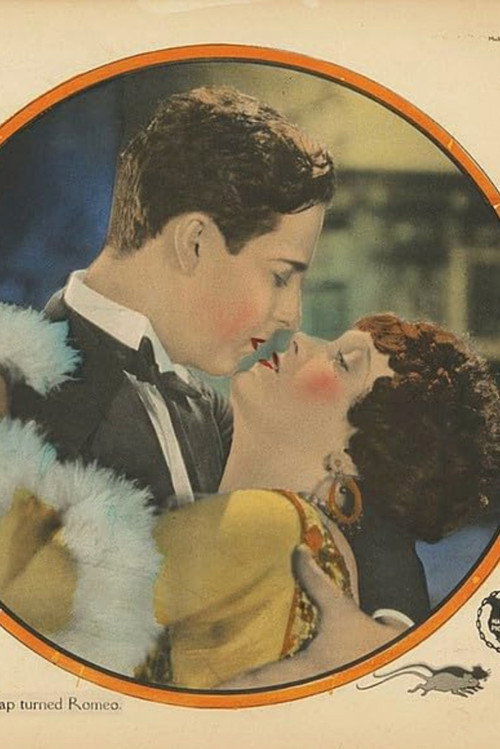 Movie poster for The Perfect Sap (1927)