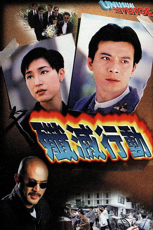 Movie poster for Unusual Revenge (1996)