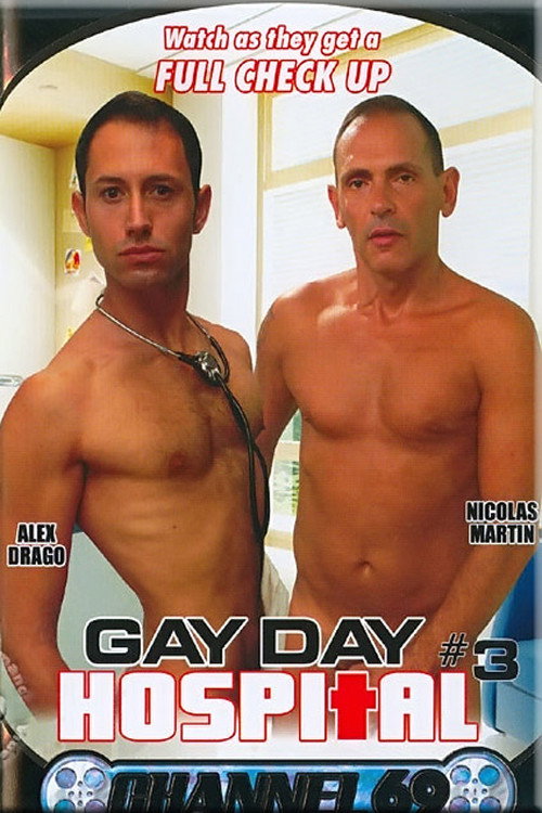 Movie poster for Gay Day Hospital 3 (2007)