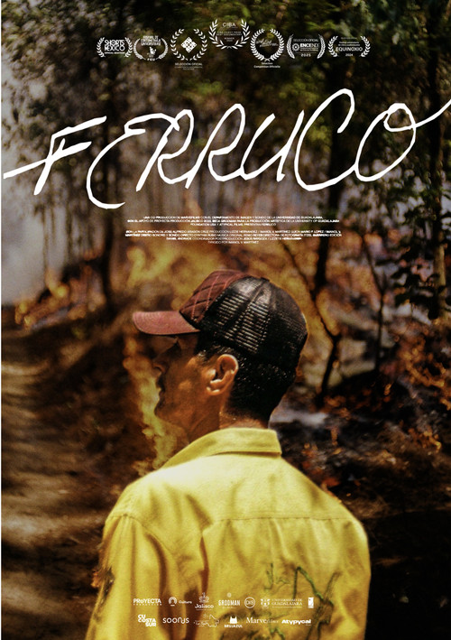 Movie poster for Ferruco (2024)