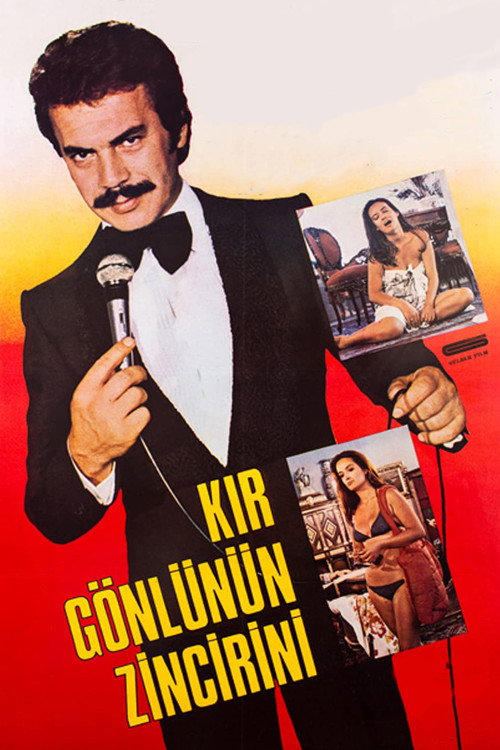 Movie poster for Kır Gönlünün Zincirini (1981)