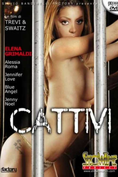 Movie poster for Cattivi (2010)