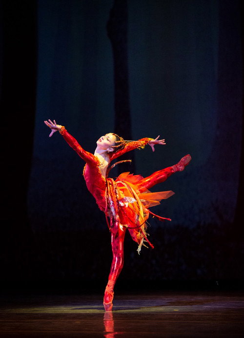 Movie poster for Miami City Ballet's The Firebird (2020)