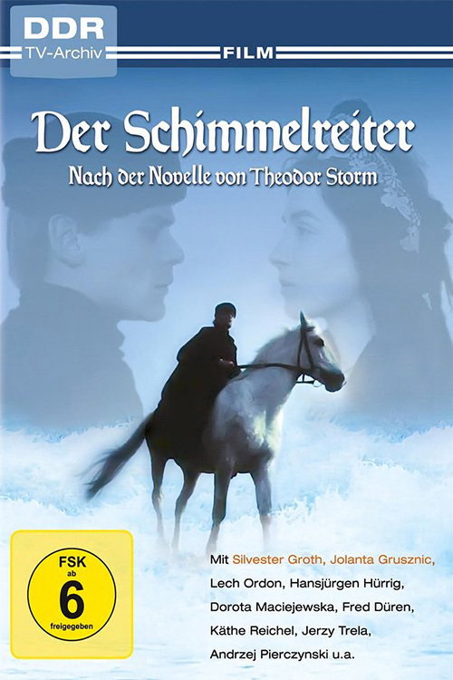 Movie poster for Der Schimmelreiter (1985)