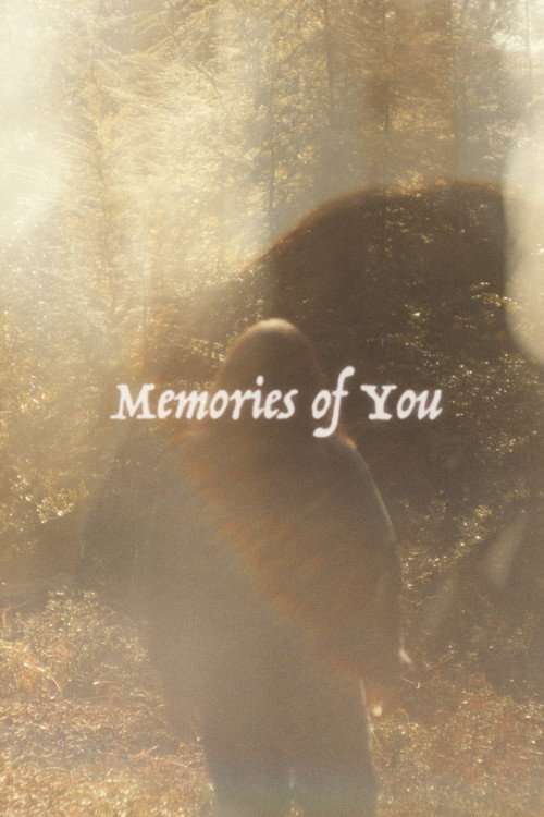 Movie poster for Memories of You (2026)