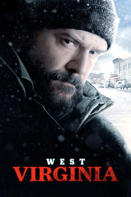 Movie poster for West Virginia Stories (2016)
