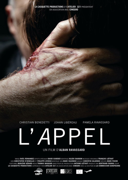 Movie poster for The Call (2015)