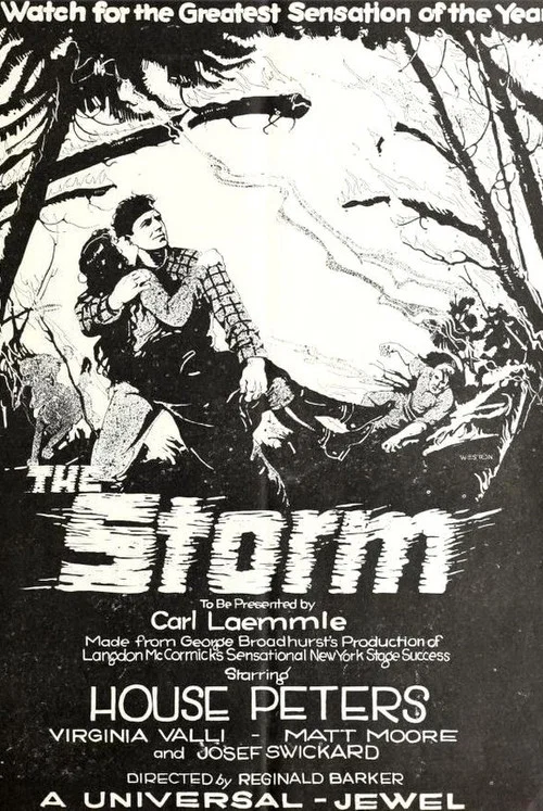 Movie poster for The Storm (1922)