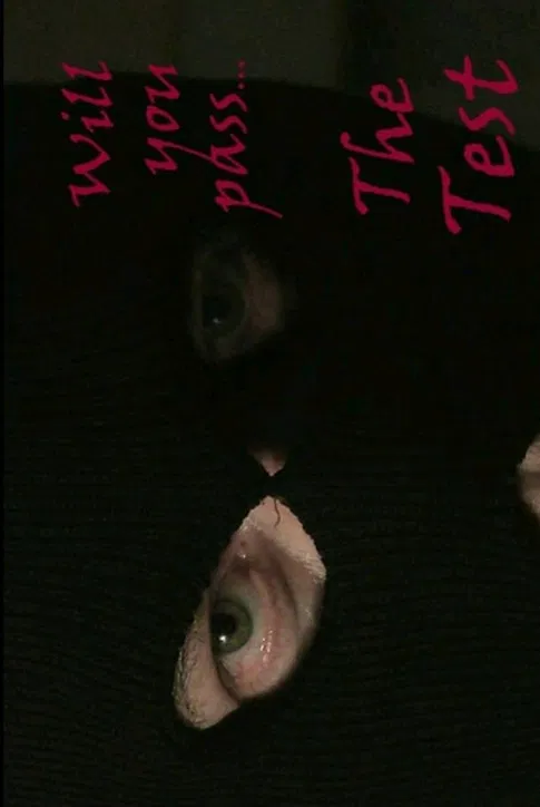 Movie poster for The Test (2012)
