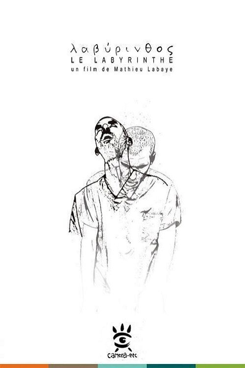 Movie poster for The Labyrinth (2013)
