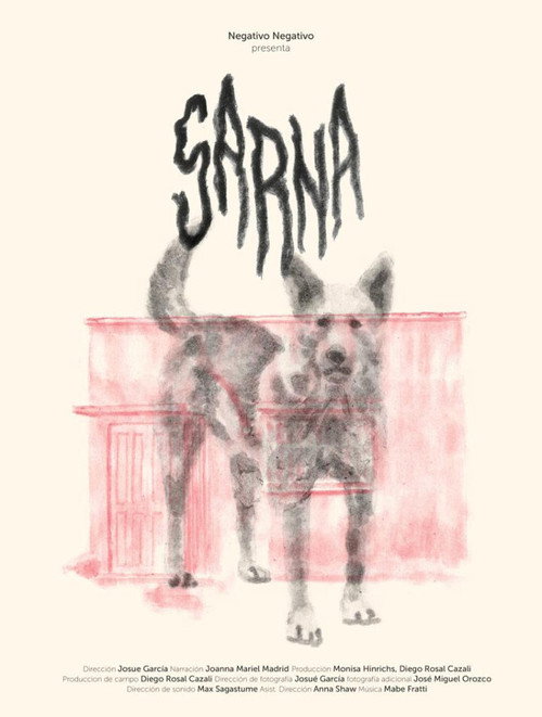 Movie poster for Sarna (2021)