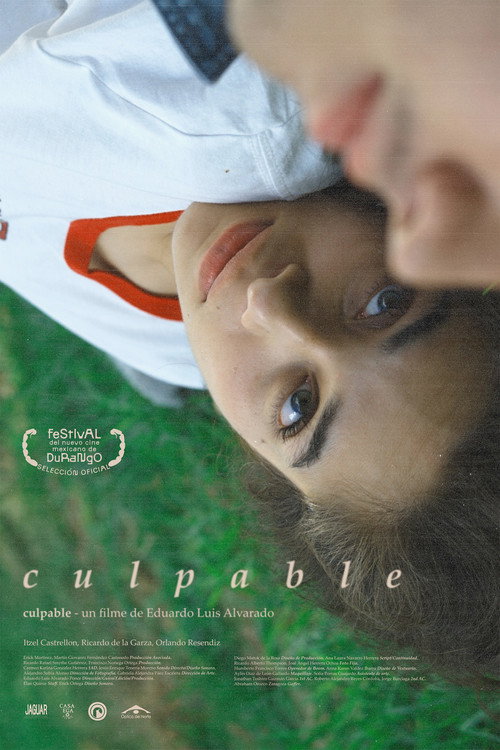 Movie poster for Culpable (2025)