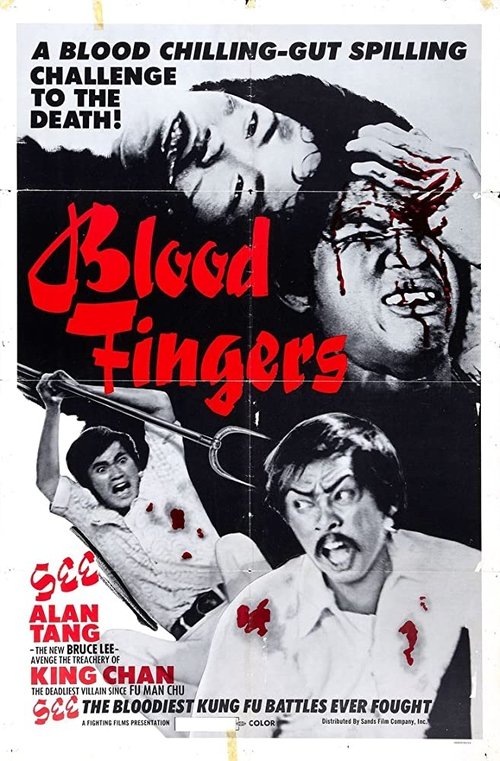 Movie poster for The Brutal Boxer (1972)