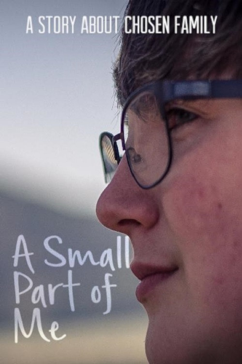 Movie poster for A Small Part of Me (2017)