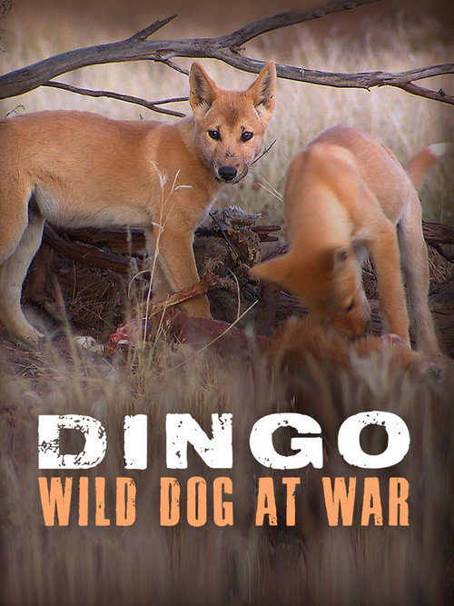 Movie poster for Dingo: Wild Dog at War (2013)