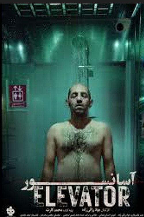 Movie poster for Elevator (2024)