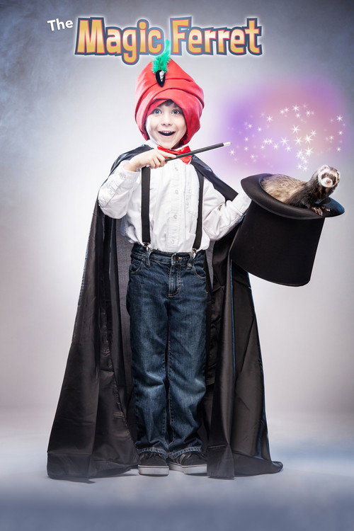 Movie poster for The Magic Ferret (2013)