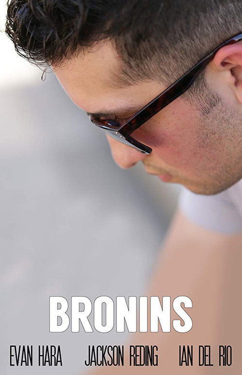 Movie poster for The Bronins (2015)