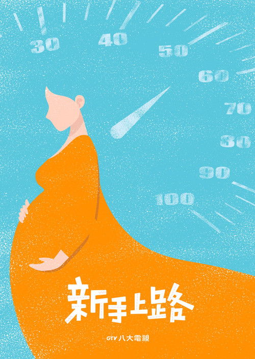 Driving Mom Crazy poster