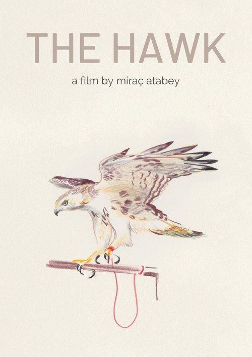 Movie poster for The Hawk (2013)