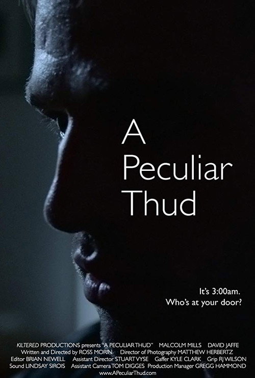 Movie poster for A Peculiar Thud (2017)