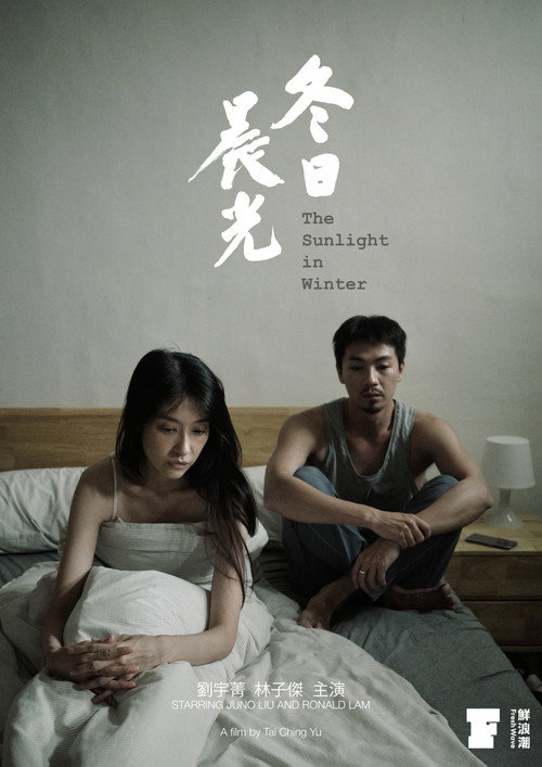 Movie poster for The Sunlight in Winter (2024)