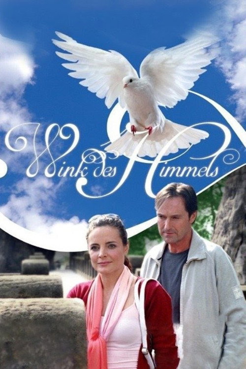 Movie poster for Wink des Himmels (2005)