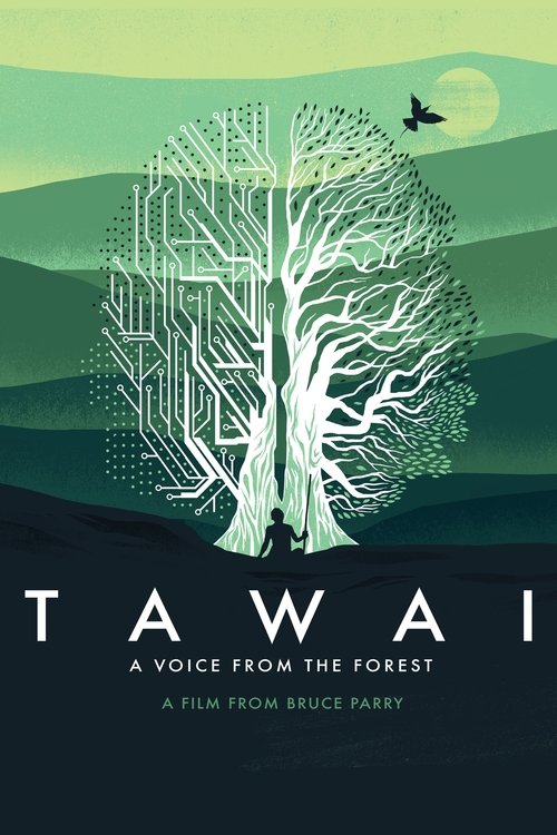 Movie poster for Tawai: A Voice from the Forest (2017)