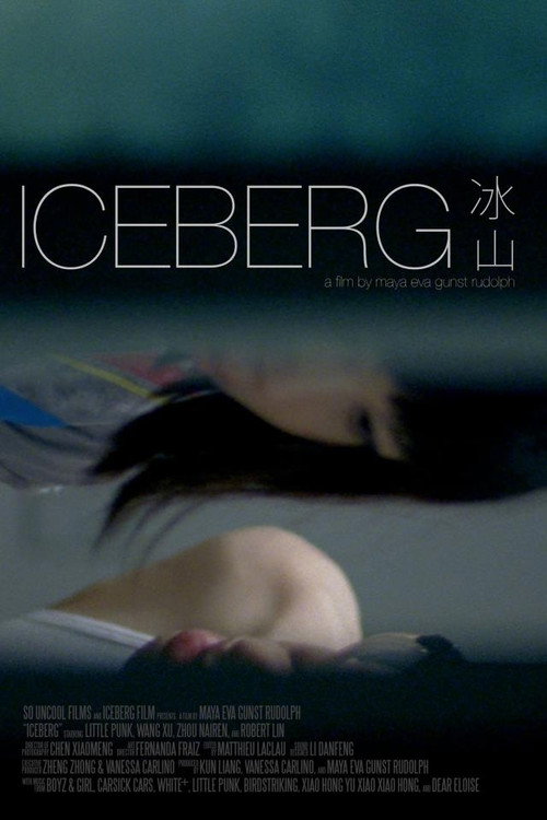 Movie poster for Iceberg (2013)