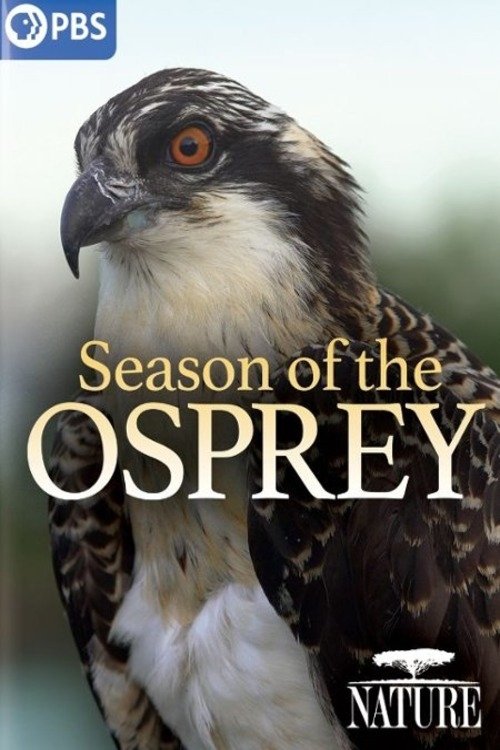 Movie poster for Season of the Osprey (2021)