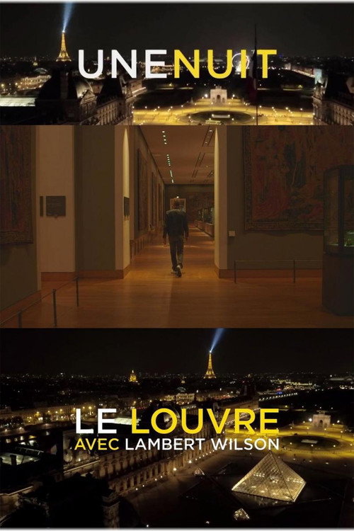Movie poster for Une nuit, le Louvre avec Lambert Wilson (2019)
