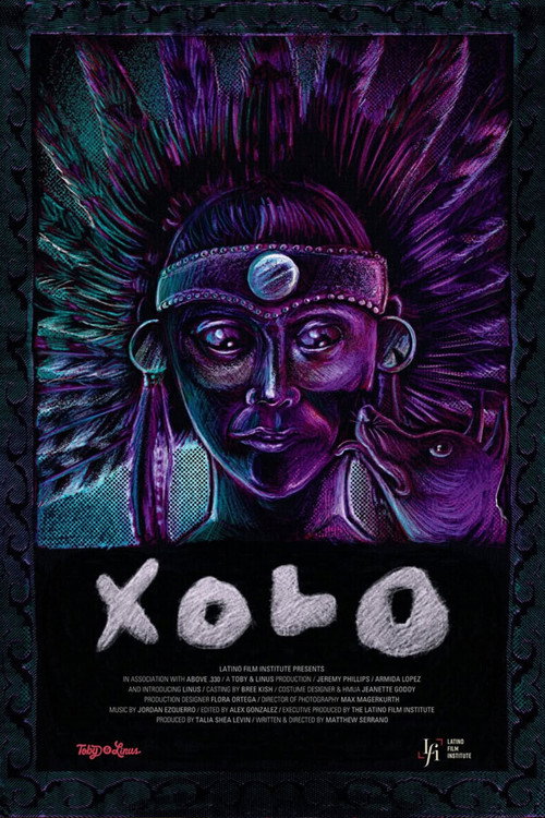 Movie poster for Xolo (2025)