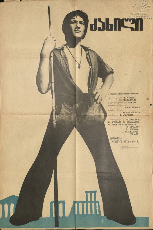 Movie poster for The Call (1979)