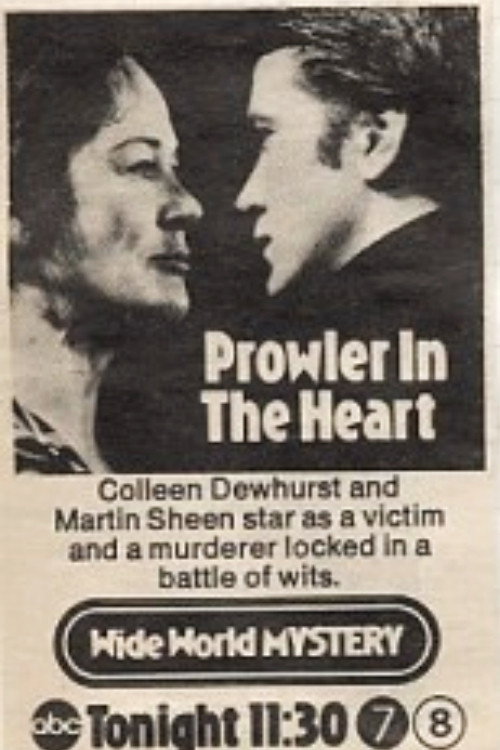 Movie poster for A Prowler in the Heart (1973)