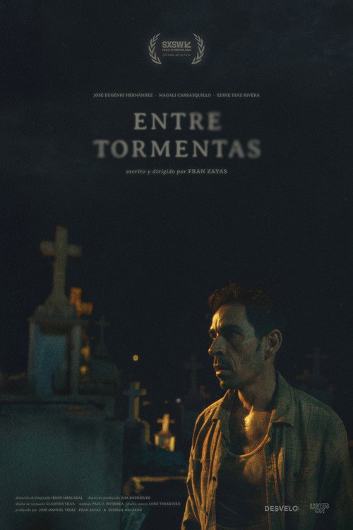 Movie poster for In Between Storms (2025)