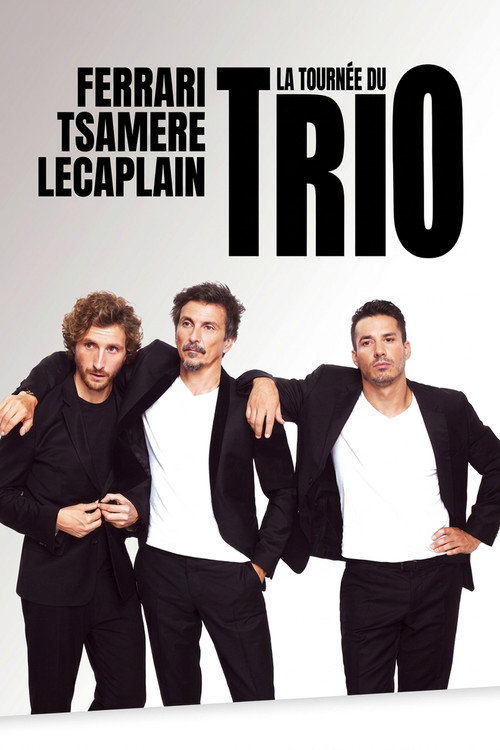 Movie poster for La Tournée du Trio (2025)