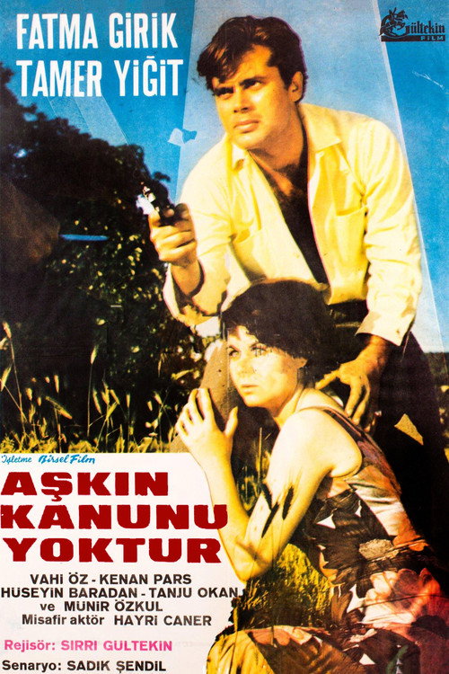 Movie poster for Aşkın Kanunu (1966)