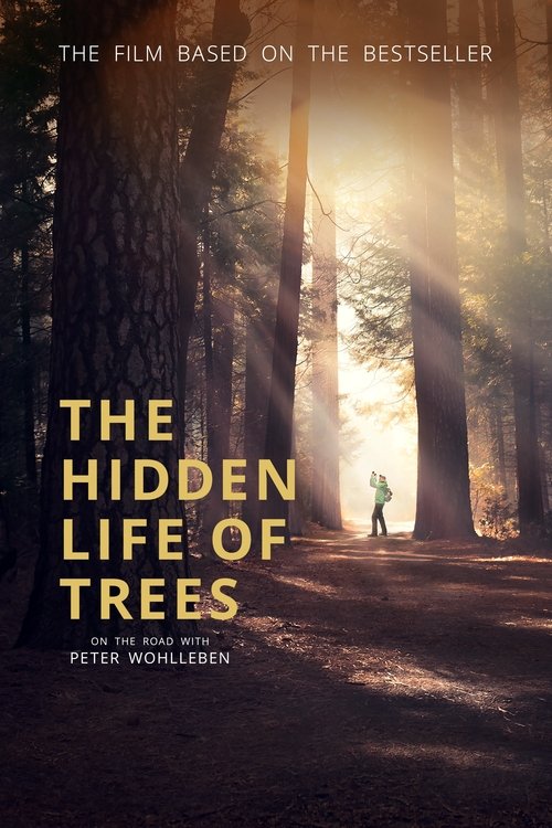 Movie poster for The Hidden Life of Trees (2020)