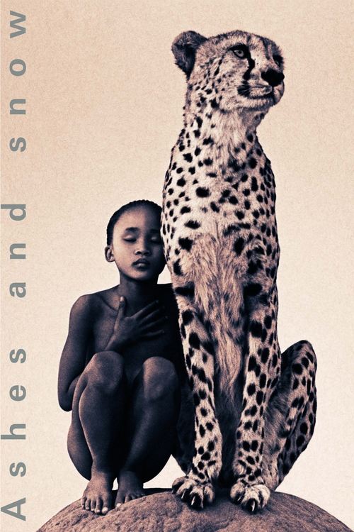 Movie poster for Ashes and Snow (2005)
