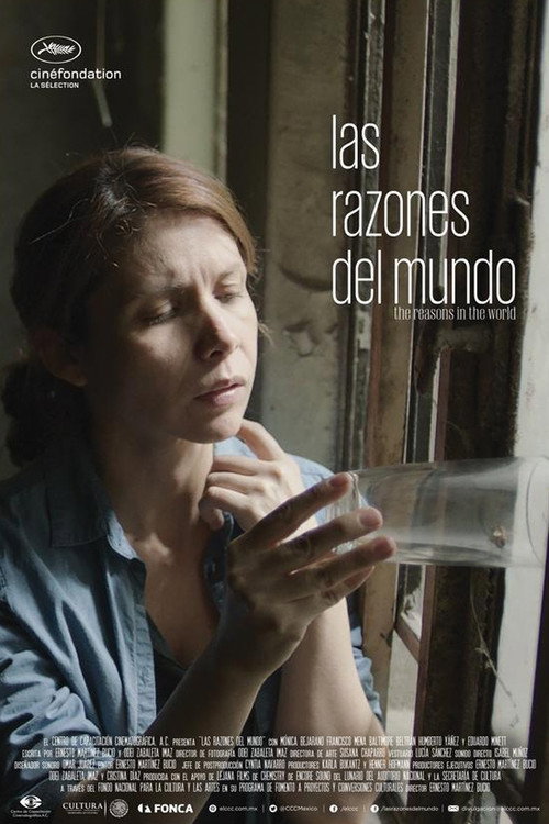 Movie poster for The Reasons in the World (2015)