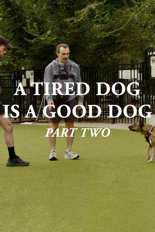 Movie poster for A Tired Dog is a Good Dog, Part Two (2025)