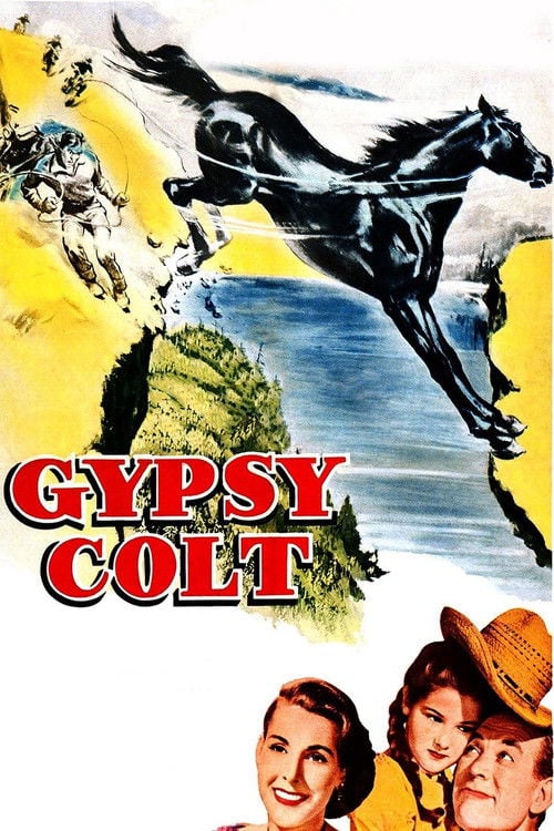 Movie poster for Gypsy Colt (1954)