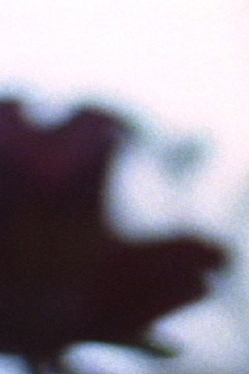 Movie poster for Benediction (2005)
