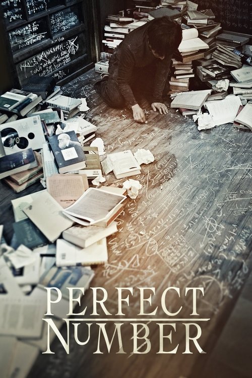 Movie poster for Perfect Number (2012)