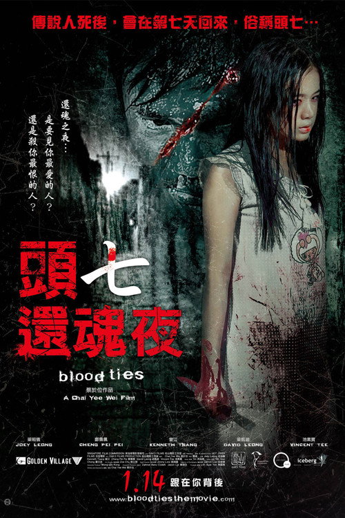 Movie poster for Blood Ties (2009)