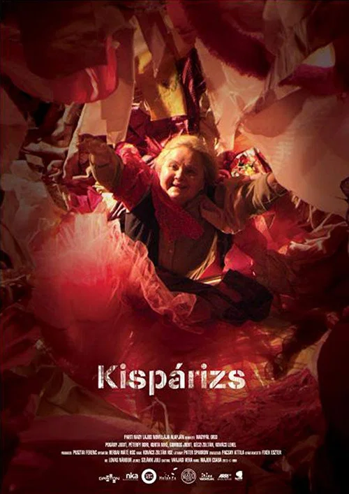 Movie poster for Kispárizs (2013)