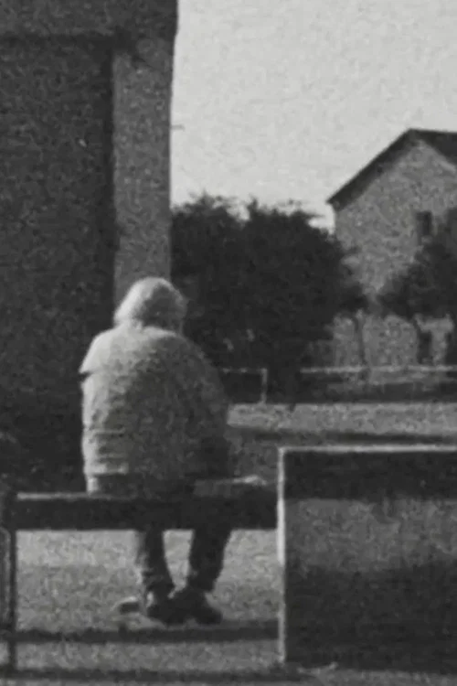Movie poster for The B-side of the Landscape (2026)