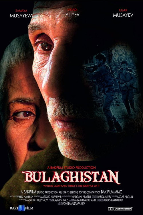 Movie poster for Bulaqistan (2009)
